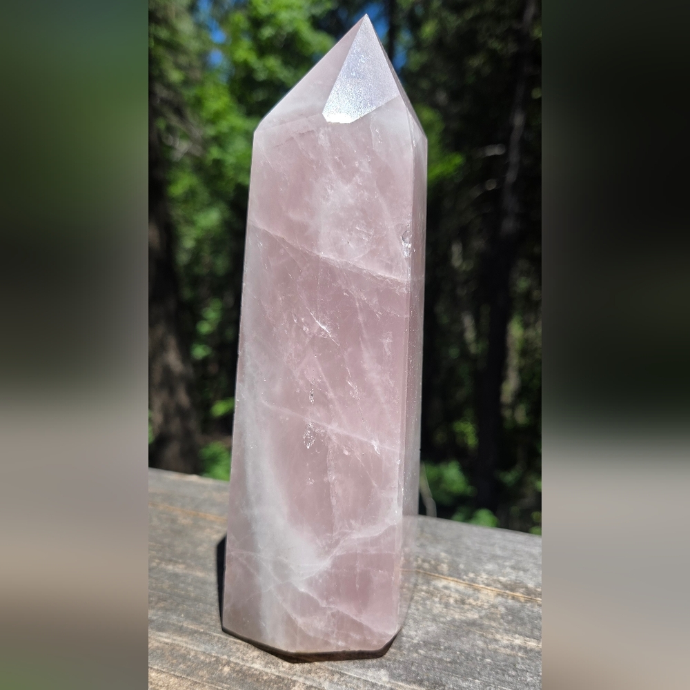 Rose Quartz Natural Crystal 7" Pillar Point - Picture 4 of 9